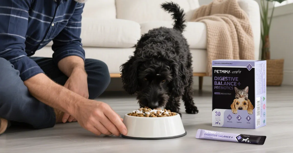 dog digestive issues probiotic supplement australia petmima digestive balance prebiotics